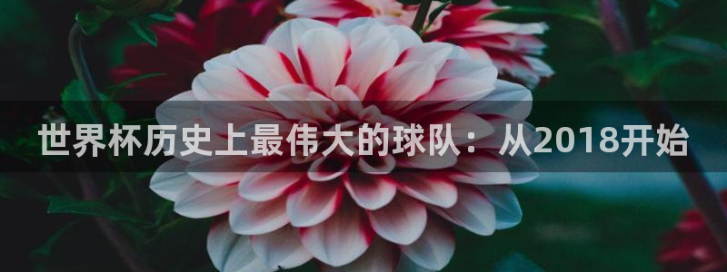 2026世界杯亚洲预选赛赛程:世界杯历史上最伟大的球队:从2018开始
