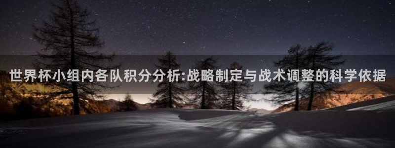 2026年世界杯时间表:世界杯小组内各队积分分析:战略制定与战术调整的科学依据