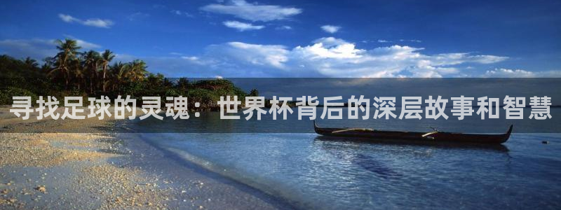 足球世界杯2026:寻找足球的灵魂:世界杯背后的深层故事和智慧