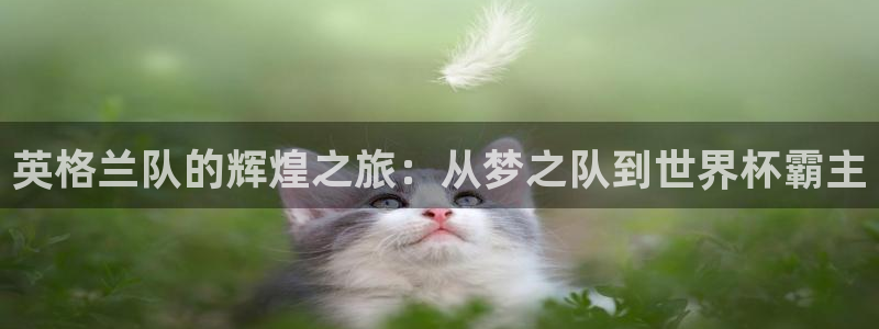 世界杯 2026:英格兰队的辉煌之旅:从梦之队到世界杯霸主